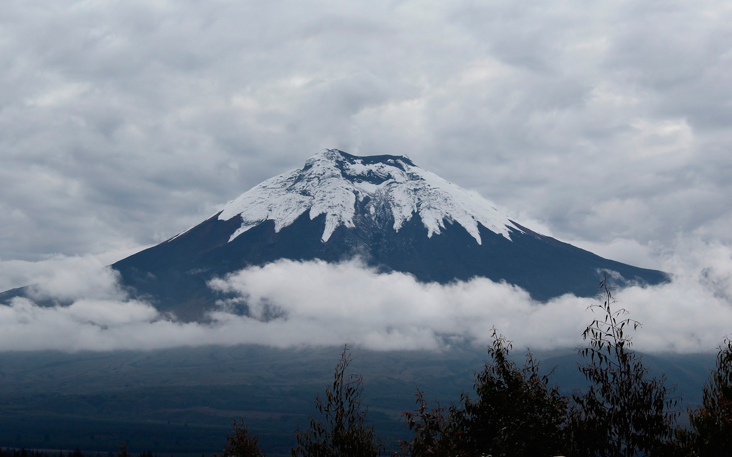A majestic view of Cotopaxi